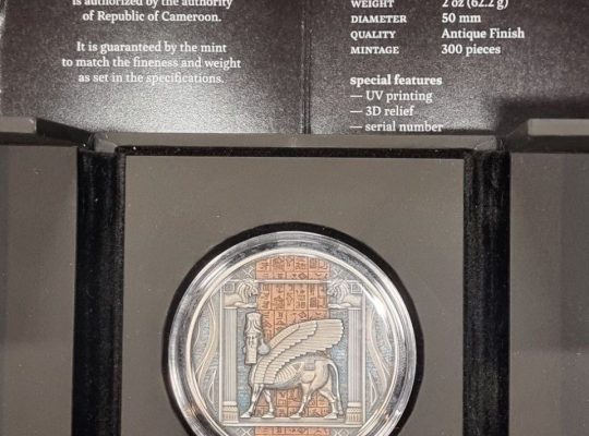Монета 3D RELIEF 🇨🇲 Камерун 2000 франков 2023г. Шумерская цивилизация