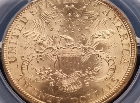 Монета 🇺🇲 США 20$ Долларов (TWENTY DOLLARS) 1899г.